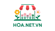 Hoa NET